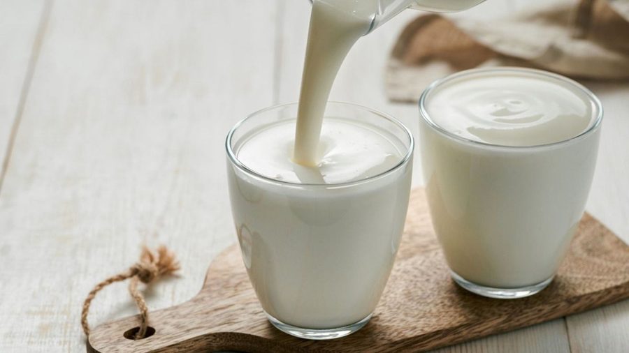 Daily kefir lowers fasting glucose and zonulin — what happens to your gut