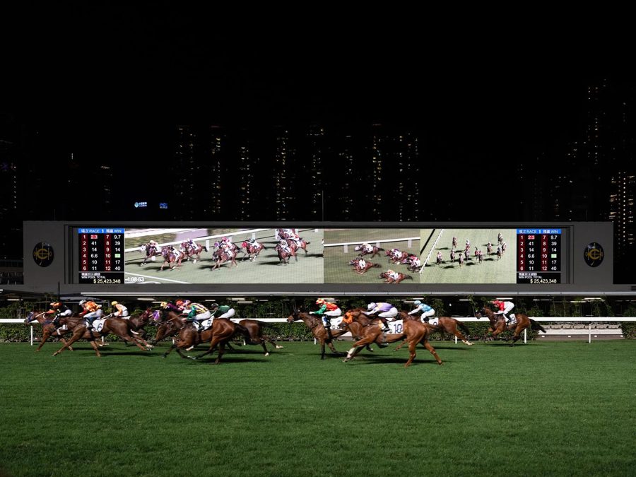 US mathematician legally earned about $1 billion on horse racing with an algorithm