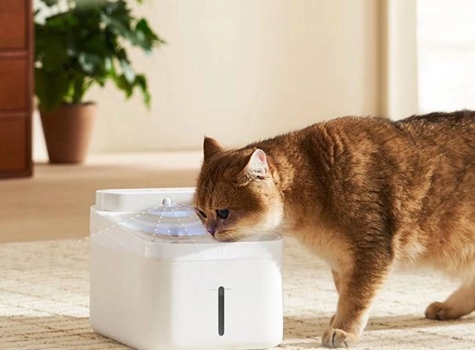 Xiaomi launches $30 cat water fountain with 90-day battery life and UV sterilization Xiaomi launches $30 cat water fountain with 90-day battery life and UV sterilization